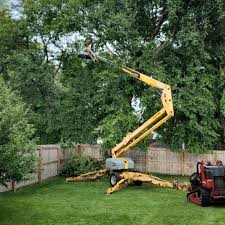 Best Palm Tree Trimming  in Pecan Grove, TX