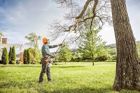 Best Emergency Tree Removal  in Pecan Grove, TX